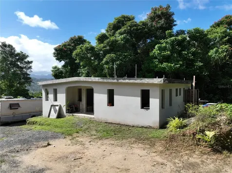 Pr 902 Camino Carlos Diaz San Lorenzo PR 00754