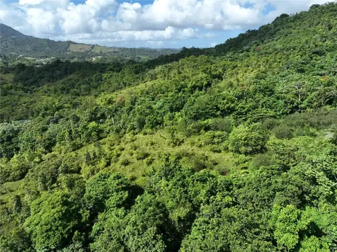 Pr 902 Camino Carlos Diaz San Lorenzo PR 00754