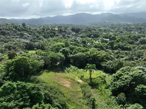 Pr 902 Camino Carlos Diaz San Lorenzo PR 00754