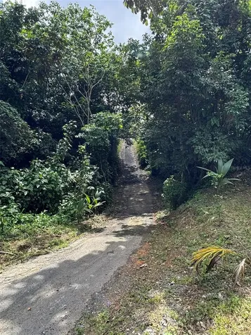 Pr 902 Camino Carlos Diaz San Lorenzo PR 00754
