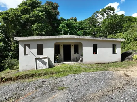 Pr 902 Camino Carlos Diaz San Lorenzo PR 00754