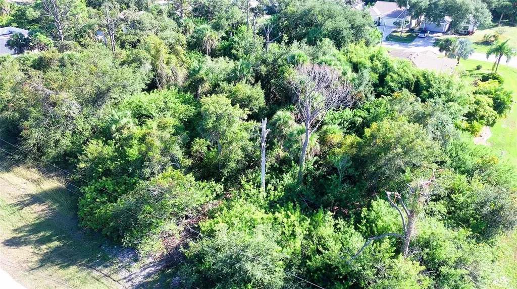 199 Cougar Way Rotonda West FL 33947
