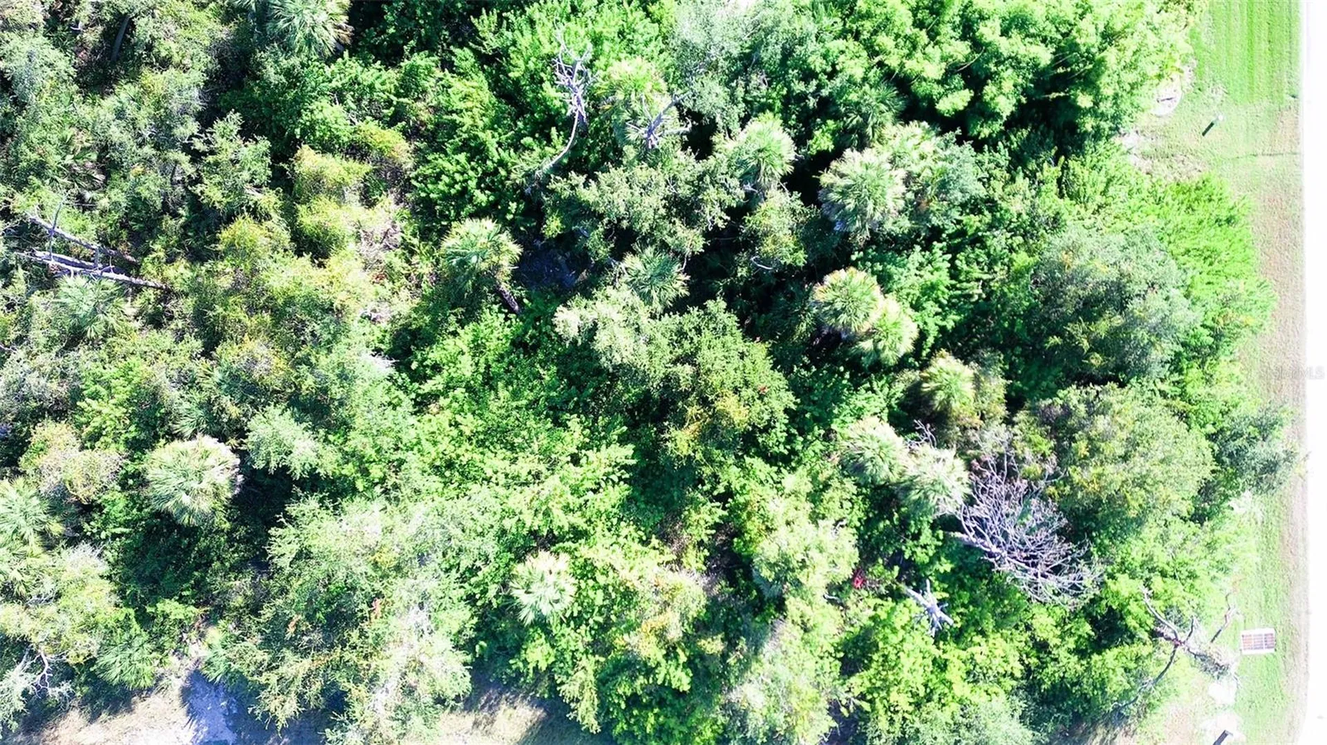 199 Cougar Way Rotonda West FL 33947