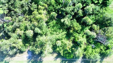 199 Cougar Way Rotonda West FL 33947