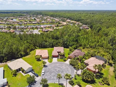 806 Ebb Tide Lane Kissimmee FL 34759