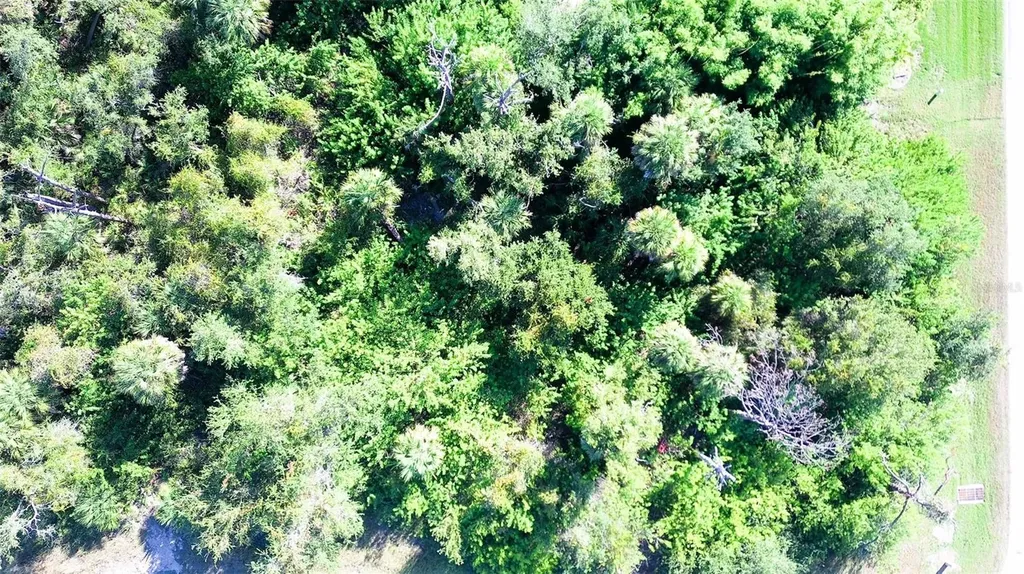 197 Cougar Way Rotonda West FL 33947