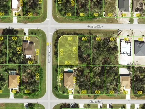 197 Cougar Way Rotonda West FL 33947