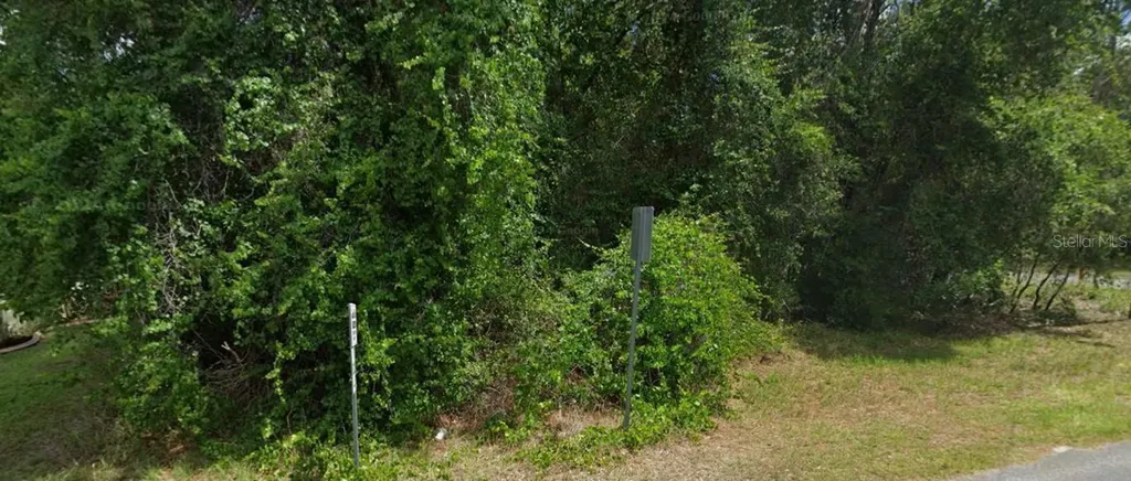 2895 E Marcia Street Inverness FL 34453