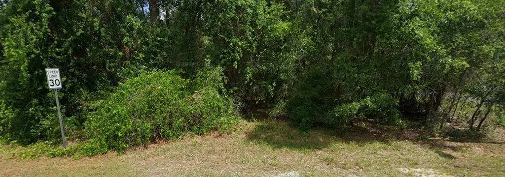 2895 E Marcia Street Inverness FL 34453