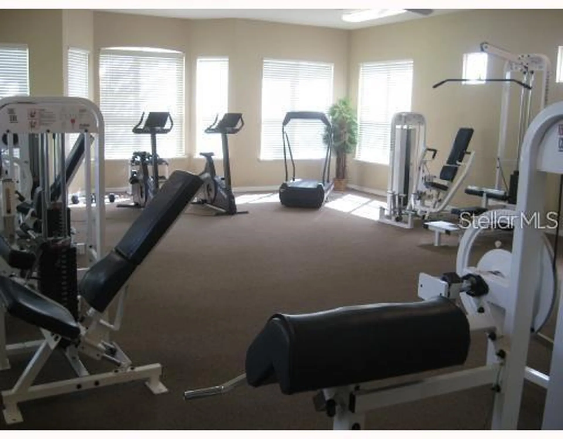 4201 Woodstorks Walk Way Lutz FL 33558