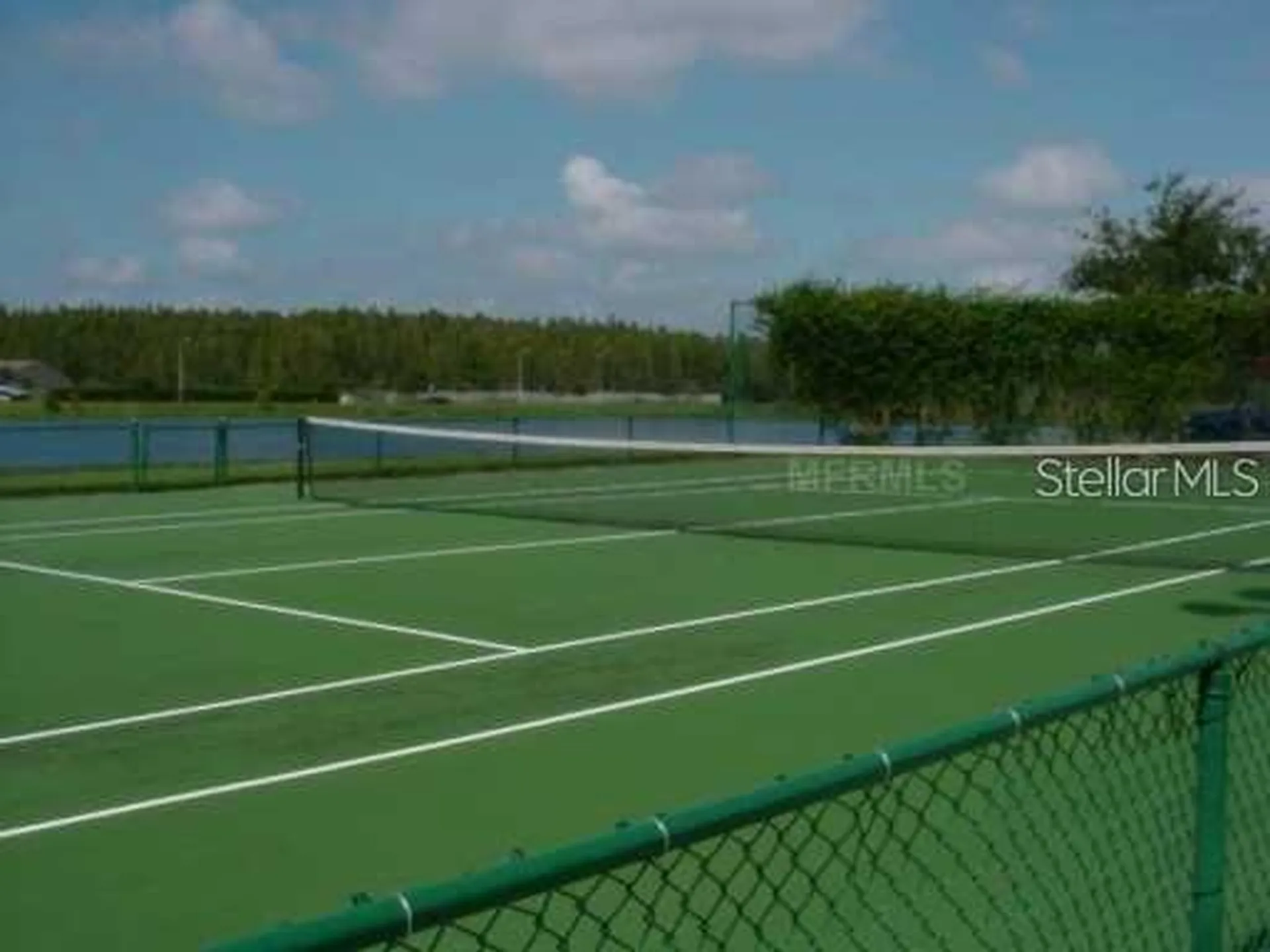 4201 Woodstorks Walk Way Lutz FL 33558