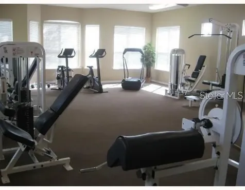 4201 Woodstorks Walk Way Lutz FL 33558