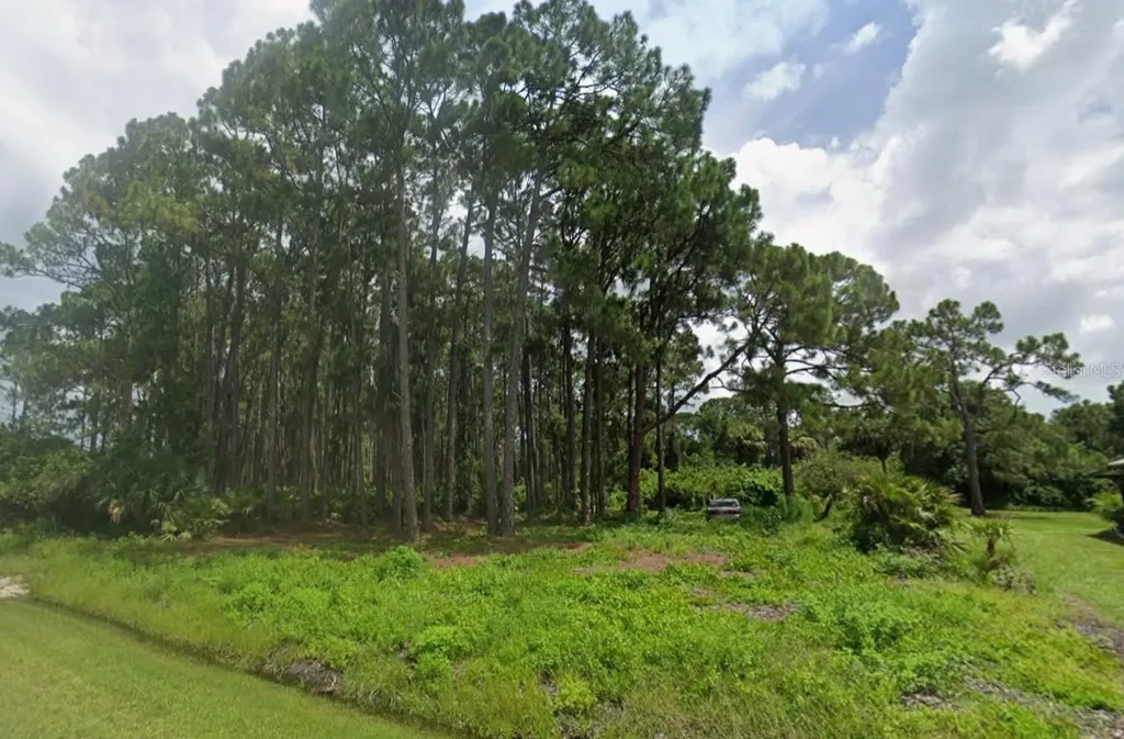 12203 Chamberlain Boulevard Port Charlotte FL 33953