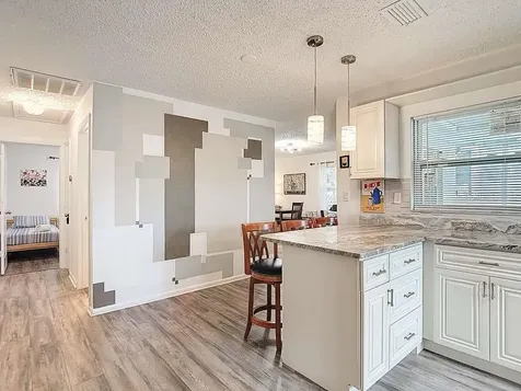 2520 W Saint John Street Tampa FL 33607