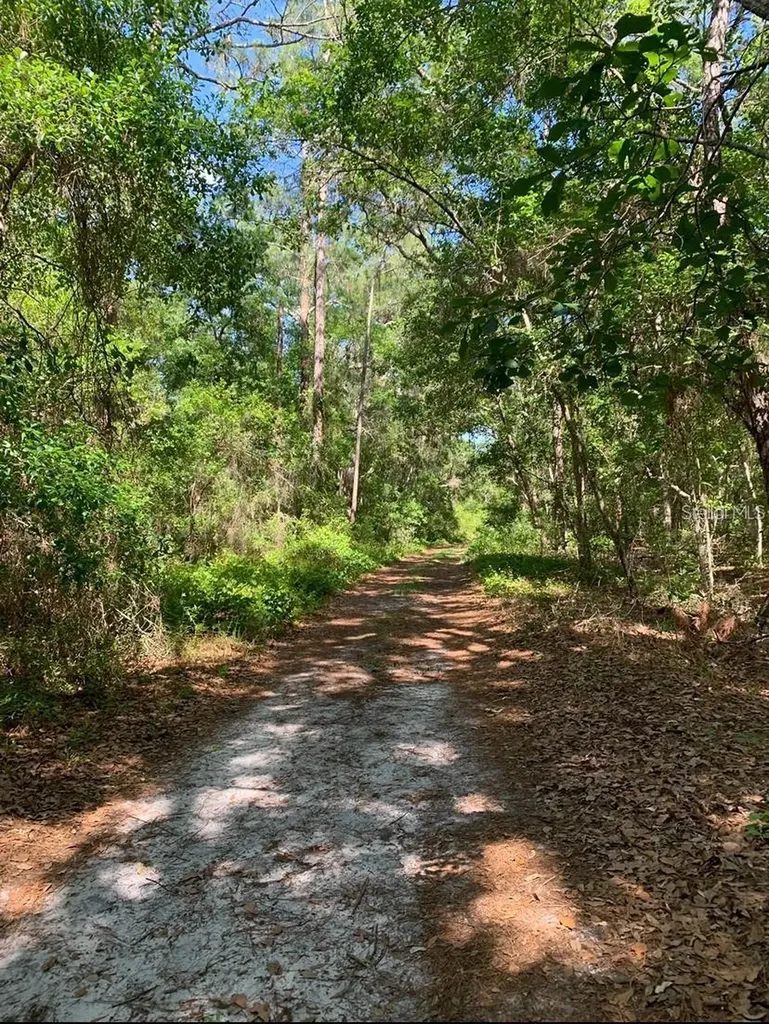 0 NE 226th Street Fort Mc Coy FL 32134