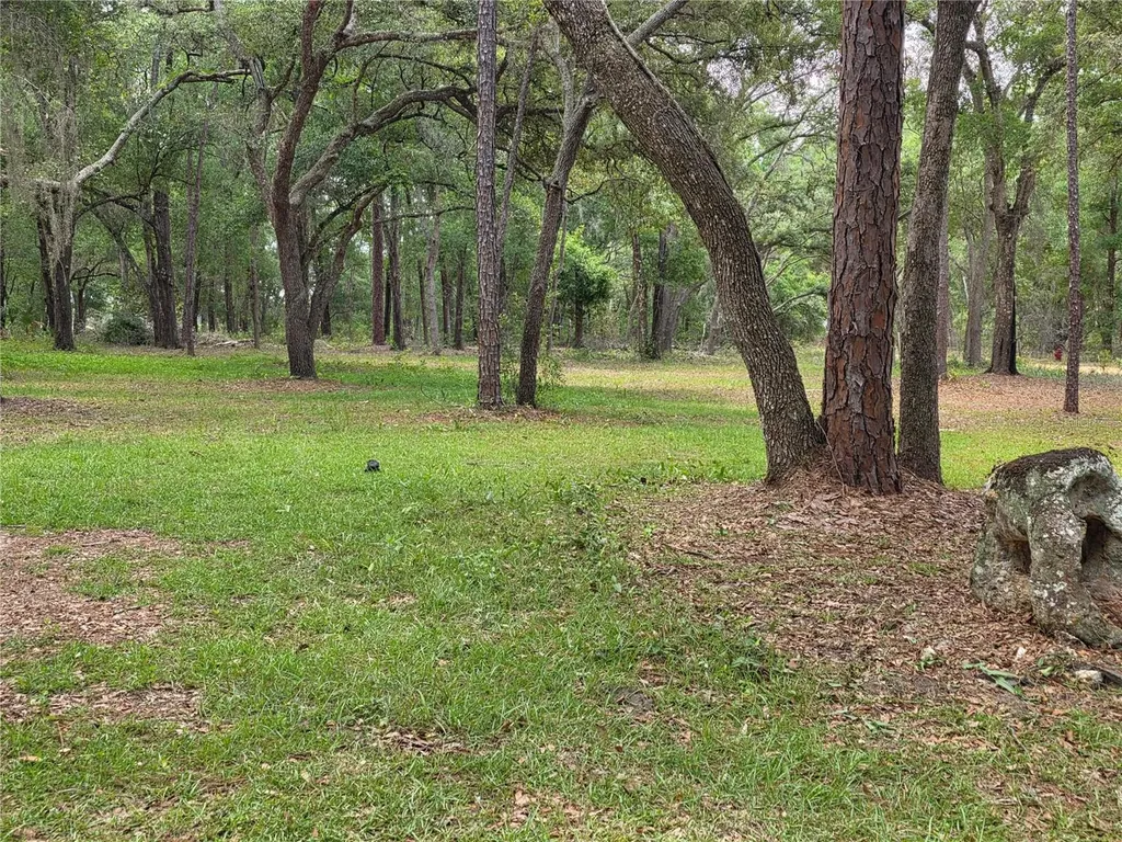 37600 Rolling Acres Road Lady Lake FL 32159
