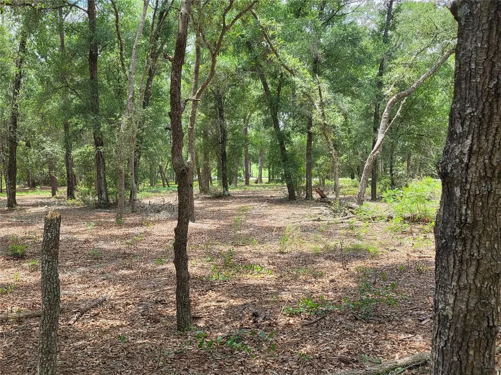 37600 Rolling Acres Road Lady Lake FL 32159