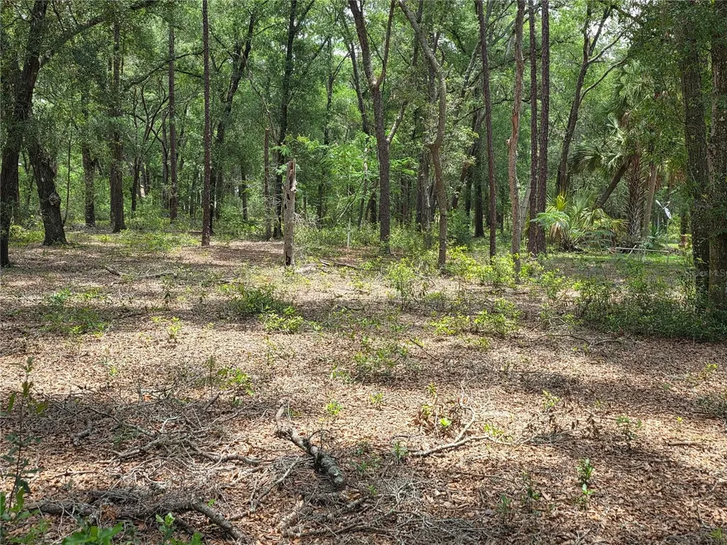 37600 Rolling Acres Road Lady Lake FL 32159