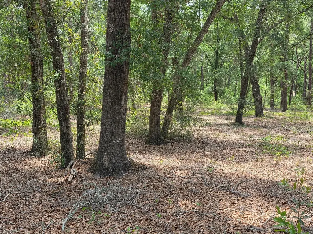 37600 Rolling Acres Road Lady Lake FL 32159