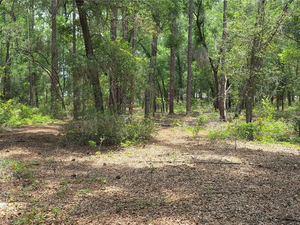 37600 Rolling Acres Road Lady Lake FL 32159