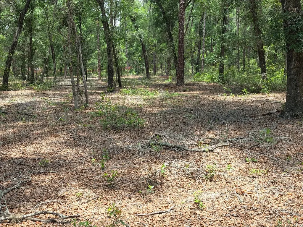 37600 Rolling Acres Road Lady Lake FL 32159