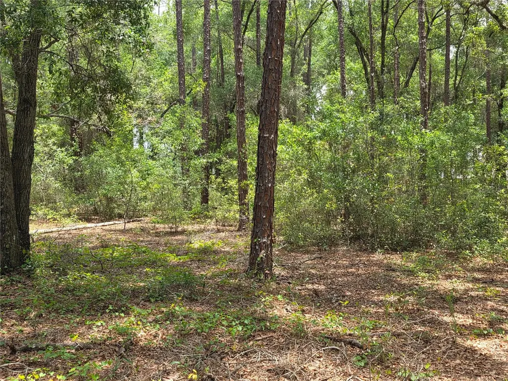 37600 Rolling Acres Road Lady Lake FL 32159