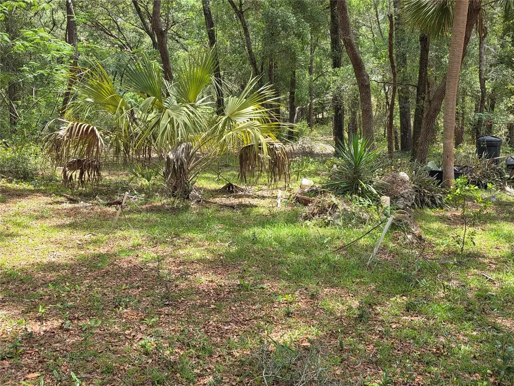 37600 Rolling Acres Road Lady Lake FL 32159