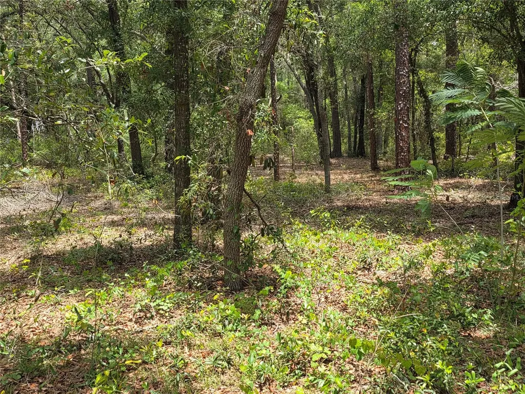 37600 Rolling Acres Road Lady Lake FL 32159