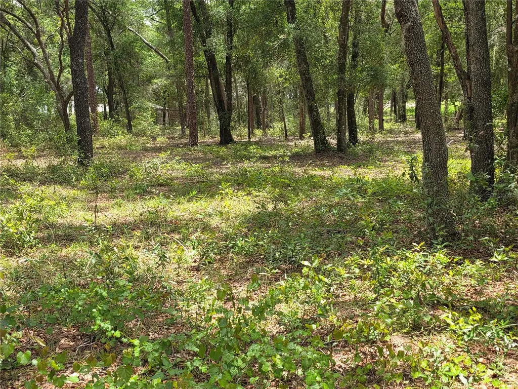 37600 Rolling Acres Road Lady Lake FL 32159