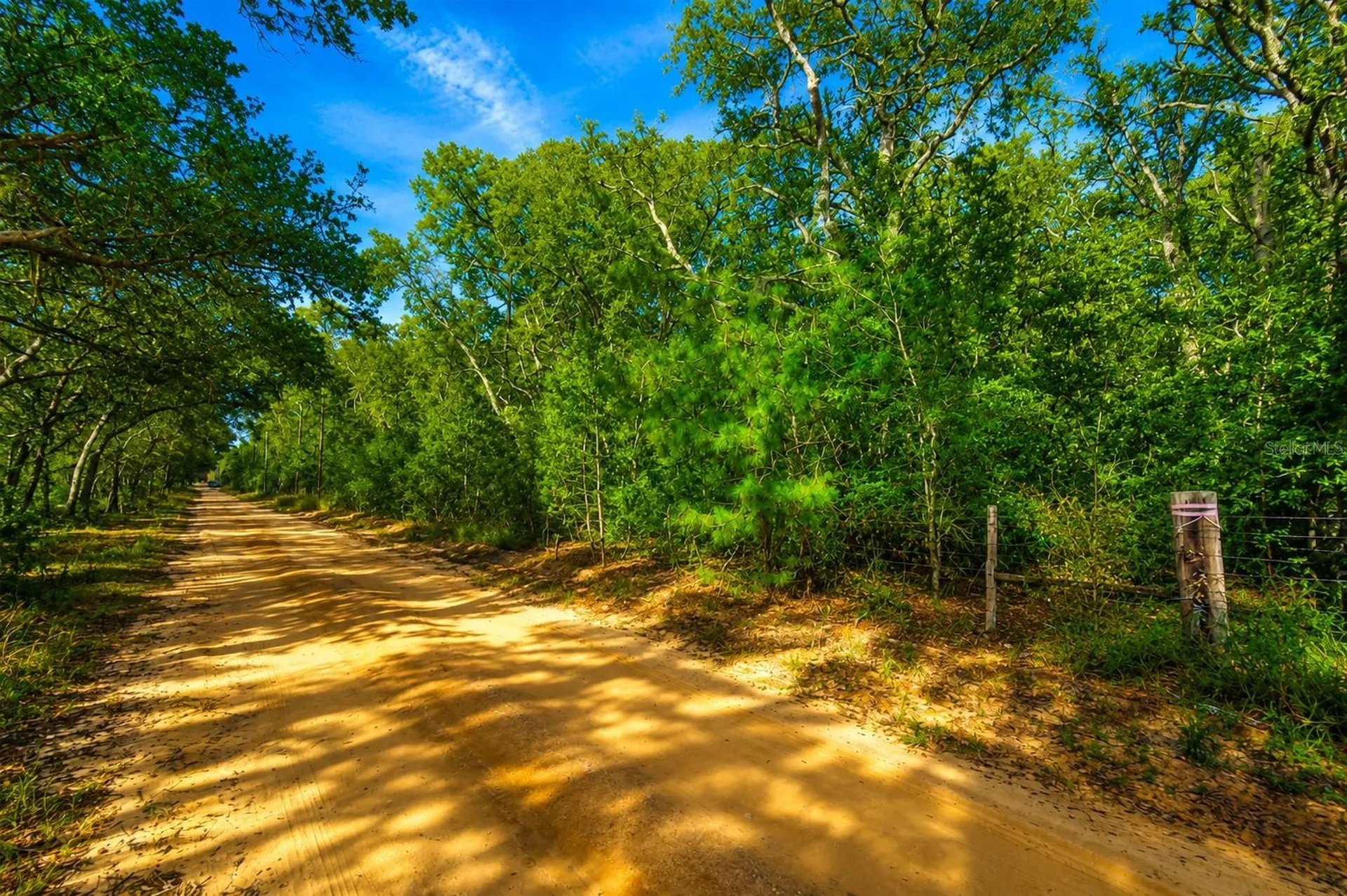 37600 Rolling Acres Road Lady Lake FL 32159