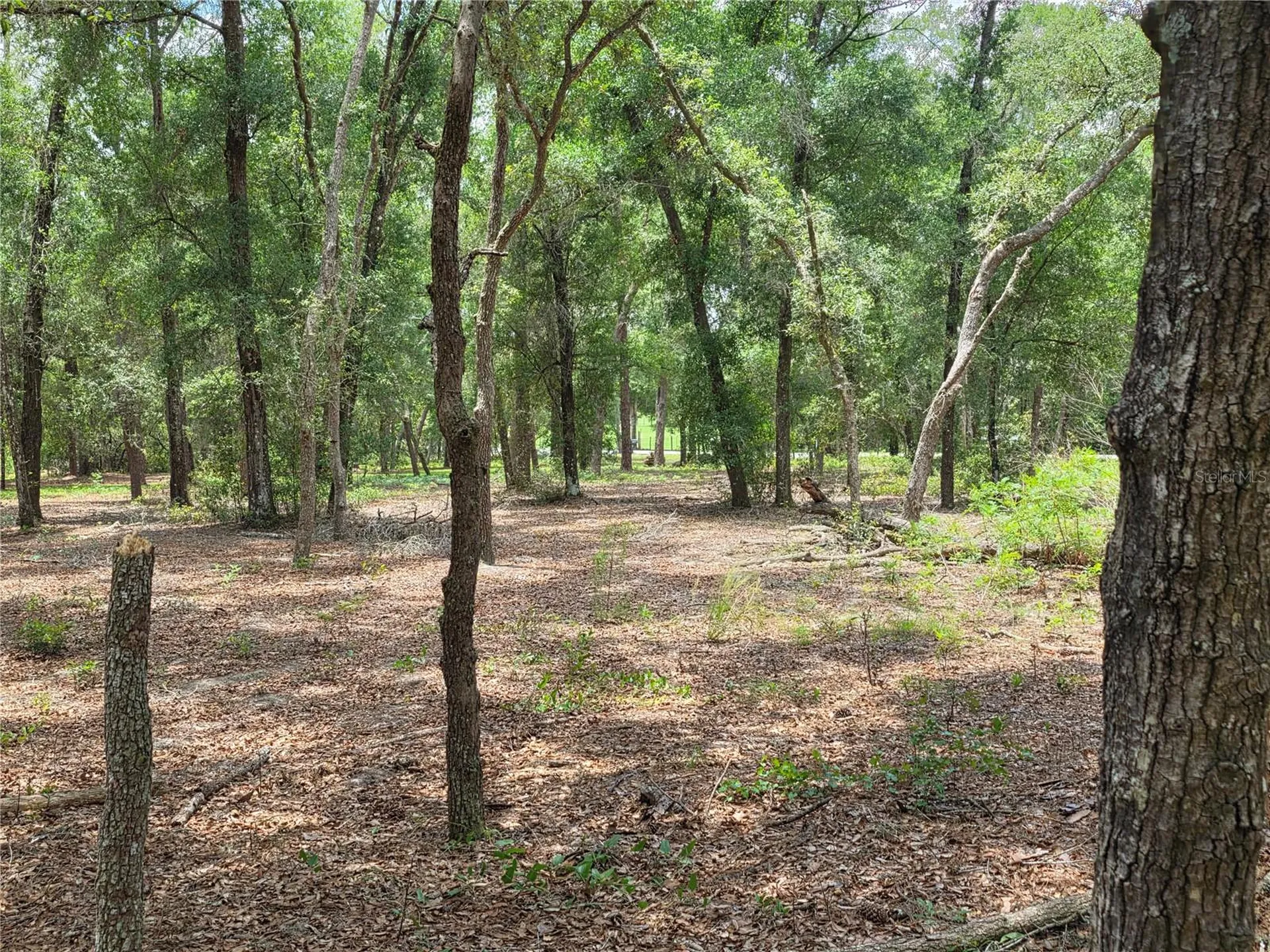 37600 Rolling Acres Road Lady Lake FL 32159