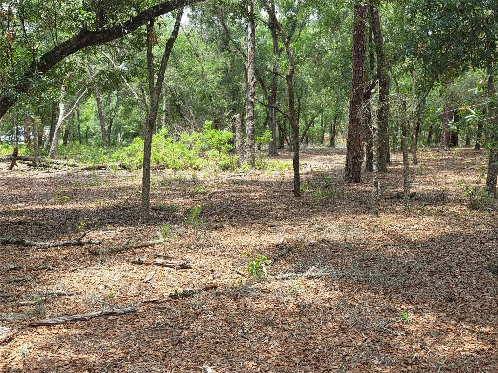 37600 Rolling Acres Road Lady Lake FL 32159