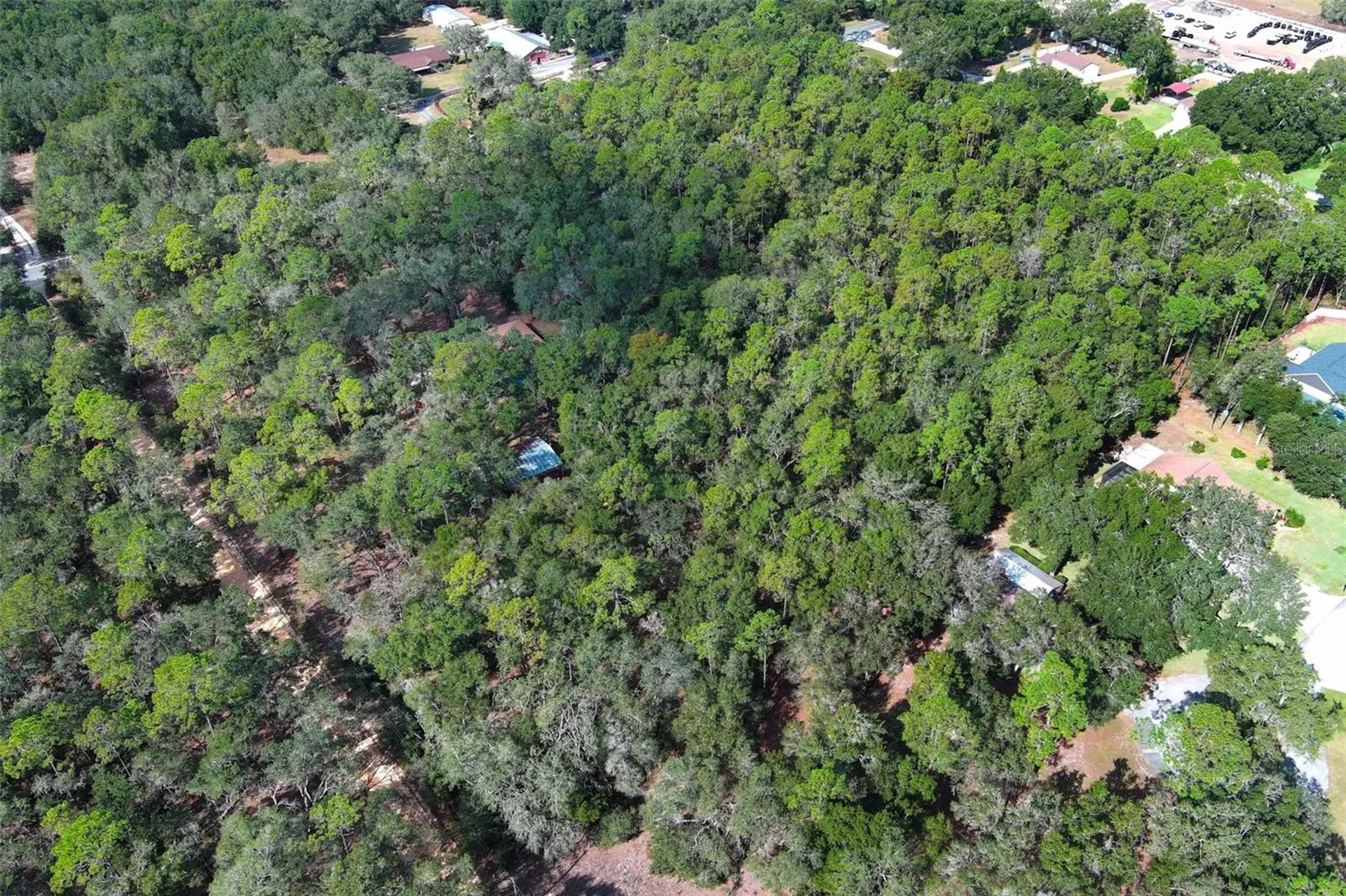 37600 Rolling Acres Road Lady Lake FL 32159