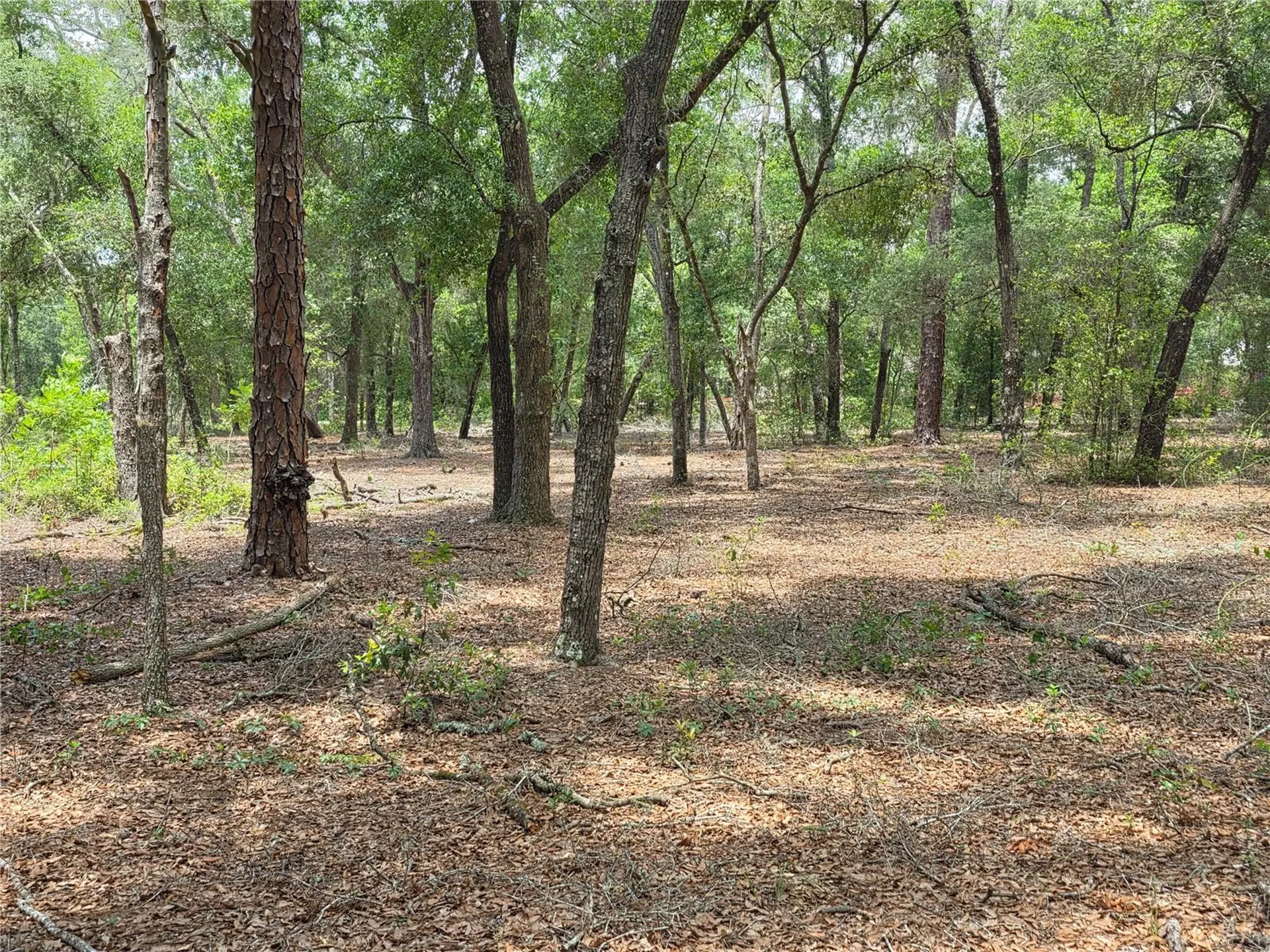 37600 Rolling Acres Road Lady Lake FL 32159