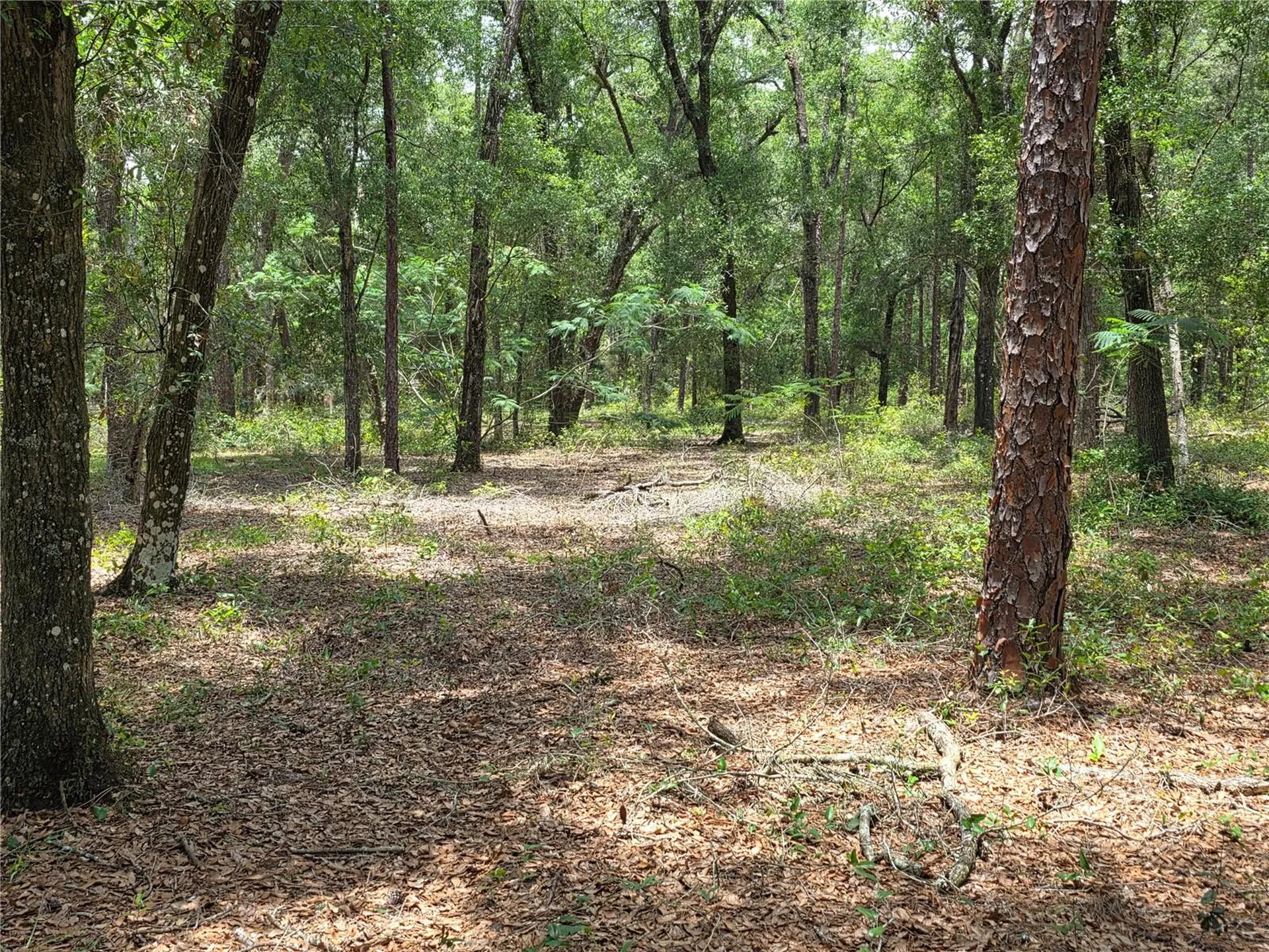 37600 Rolling Acres Road Lady Lake FL 32159