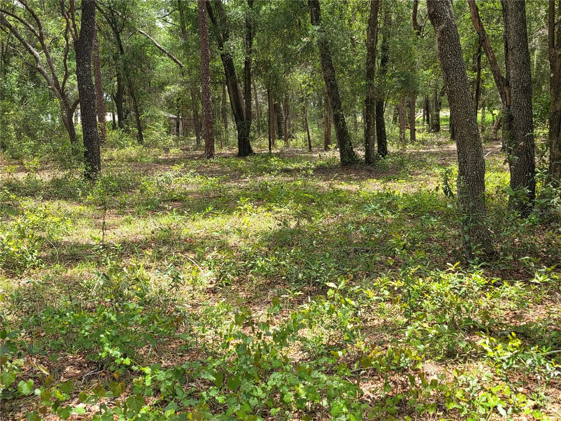 37600 Rolling Acres Road Lady Lake FL 32159