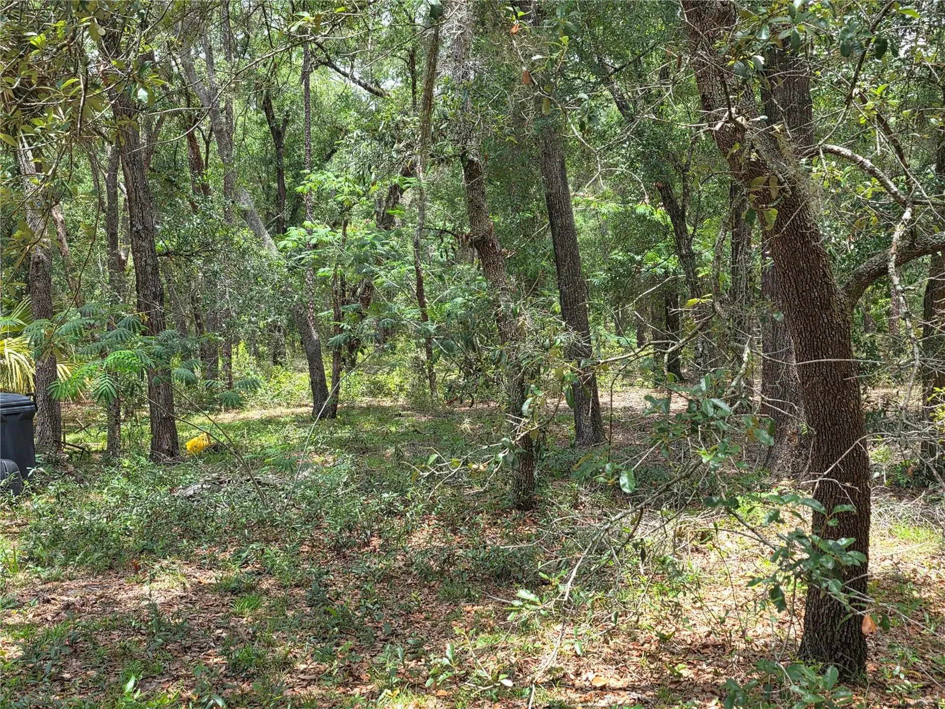 37600 Rolling Acres Road Lady Lake FL 32159