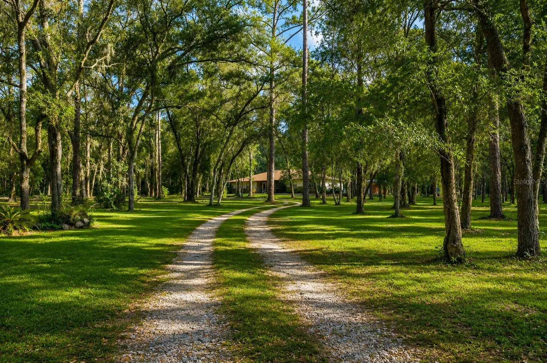 37600 Rolling Acres Road Lady Lake FL 32159