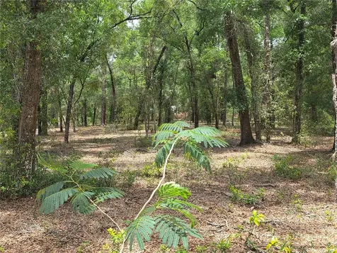 37600 Rolling Acres Road Lady Lake FL 32159
