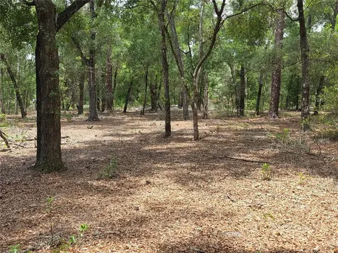 37600 Rolling Acres Road Lady Lake FL 32159