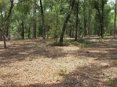 37600 Rolling Acres Road Lady Lake FL 32159