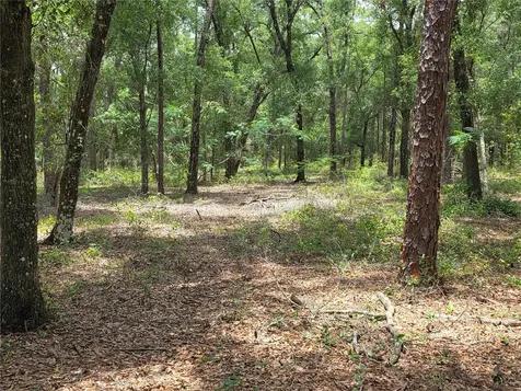 37600 Rolling Acres Road Lady Lake FL 32159