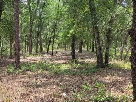 37600 Rolling Acres Road Lady Lake FL 32159