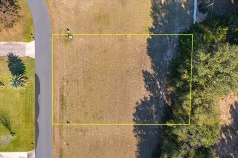 1007 Myrtle Breezes Court Fruitland Park FL 34731