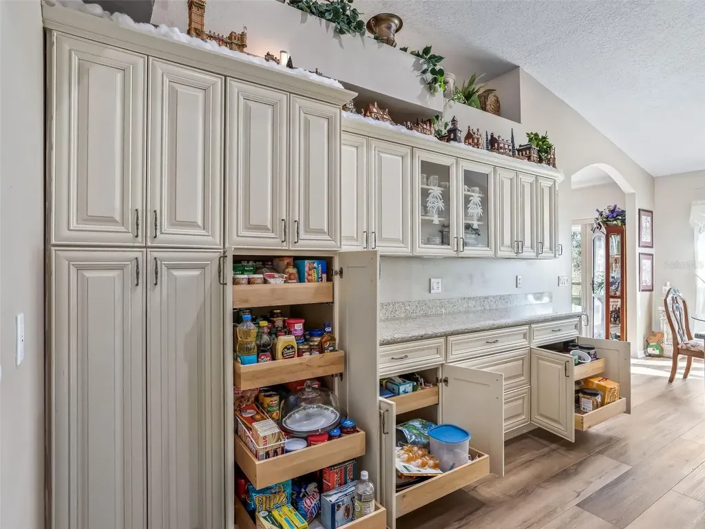 1409 Meadow View Way Lady Lake FL 32159