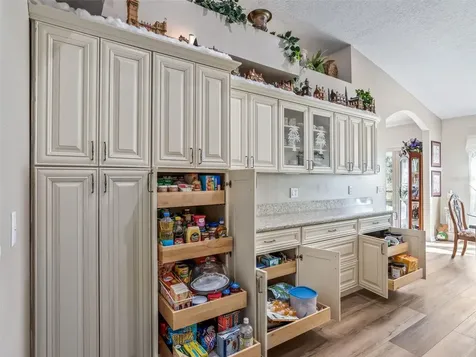 1409 Meadow View Way Lady Lake FL 32159