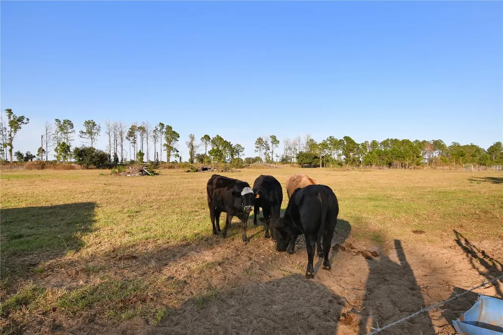 10989 NW Lily County Line Road Ona FL 33865
