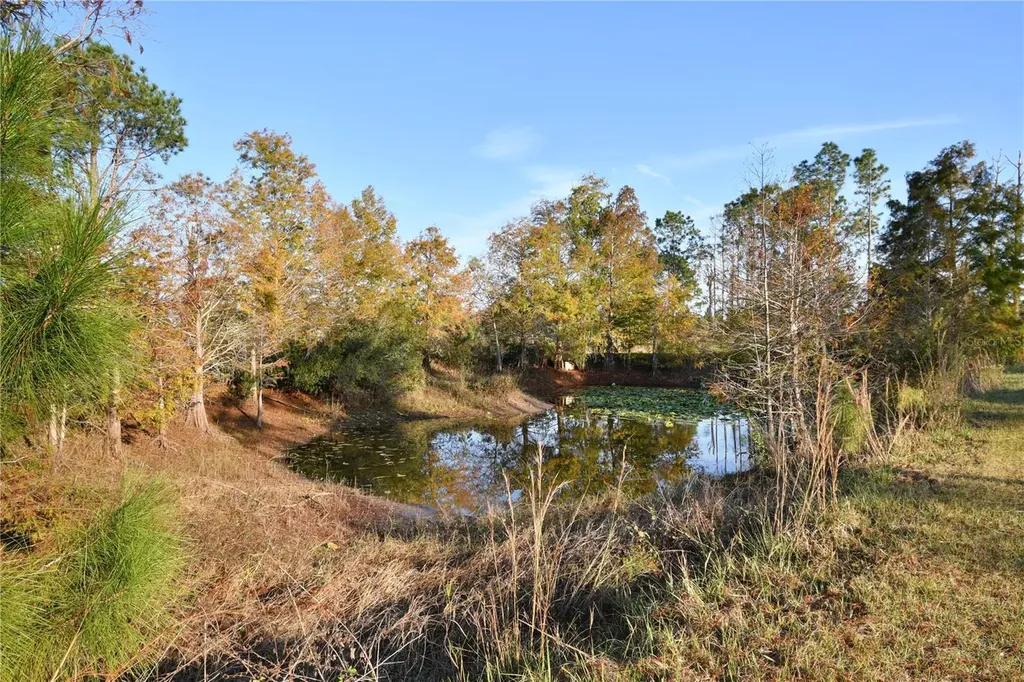 10989 NW Lily County Line Road Ona FL 33865