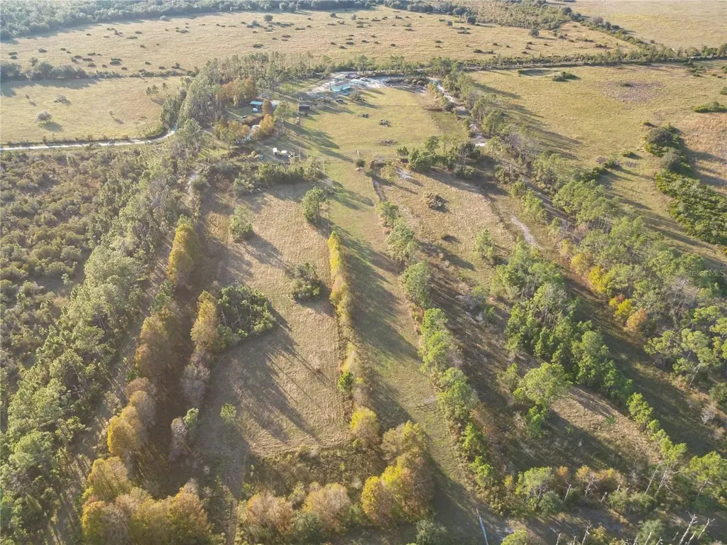 10989 NW Lily County Line Road Ona FL 33865
