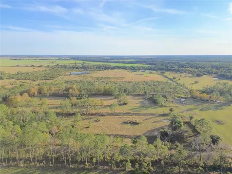 10989 NW Lily County Line Road Ona FL 33865